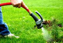 Efektywne podlewanie ogrodu, czyli automatyczny system nawadniania podlewanie trawnika