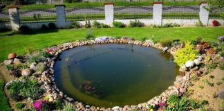 Oczko wodne – pomysł na urozmaicenie ogrodu