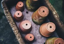 doniczki produkcyjne – co i jak? doniczki produkcyjne