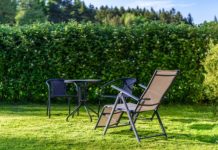 Wertykulacja trawnika – czyli jak o niego zadbać wertykulacja trawnika