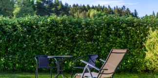 wertykulacja trawnika