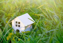 Domek angielski czy holenderski