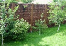 Maty ogrodzeniowe – co warto wiedzieć przed zakupem? Maty ogrodzeniowe