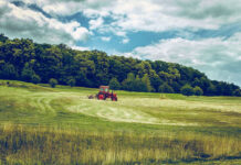 Zalety profesjonalnego traktorka ogrodowego