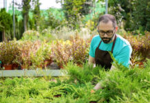 Jak skutecznie pozbyć się zalegających gałęzi w naszym ogrodzie
