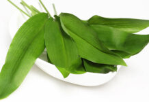 Czosnek niedźwiedzi w kuchni