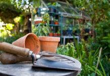 11 najbardziej przydatnych narzędzi do ogrodu