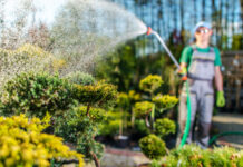 Przyjemność pielęgnowania własnego ogrodu