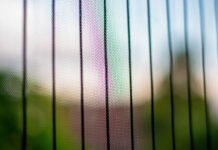 Lato bez owadów w domu