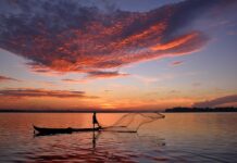 Ile kosztuje 100 m siatki?