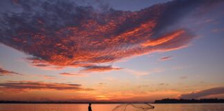 Ile kosztuje 100 m siatki?