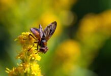 Jak sprawdzić jaka jest faza w gniazdku? Jak sprawdzić jaka jest faza w gniazdku?