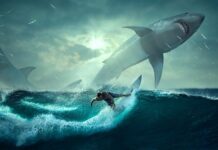 Jak szybko Wygiąć Sklejkę? Jak szybko Wygiąć Sklejkę?