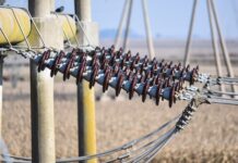 Ile kabli w gniazdku? Ile kabli w gniazdku?