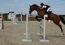 Czy można wymienić fugę w płytkach?