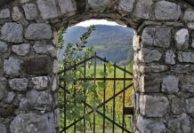 Jaka wkładka do furtki?