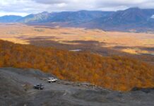 Ile perlitu do doniczki? Ile perlitu do doniczki?