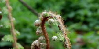 Jak wyprostować rurę stalową?