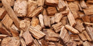 Czy granulat sojowy jest zdrowy?