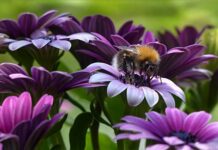 Czy zerowanie w gniazdku jest legalne? Czy zerowanie w gniazdku jest legalne?