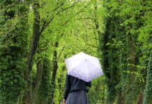 Jak samemu znaleźć źródło wody?