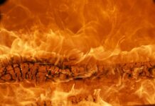 Do kogo należy marka Gerlach?