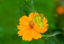 O czym świadczy mętna woda po zagotowaniu? O czym świadczy mętna woda po zagotowaniu?