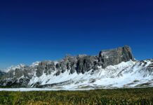 Czy igły z choinki jako nawóz? Czy igły z choinki jako nawóz?