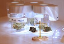 Ile kosztuje uproszczona Legalizacja samowoli budowlanej? Ile kosztuje uproszczona Legalizacja samowoli budowlanej?