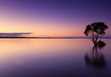 Czy wodę źródlaną trzeba Filtrować?