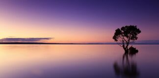 Czy wodę źródlaną trzeba Filtrować?