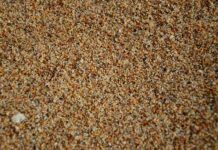 Czym można zastąpić żwirek dla królika?