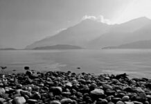 Ile kosztuje gaźnik do kosy spalinowej? Ile kosztuje gaźnik do kosy spalinowej?