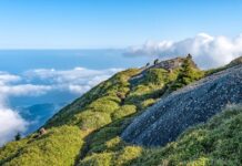 Jaka jest różnica między gresem a terakota? Jaka jest różnica między gresem a terakota?