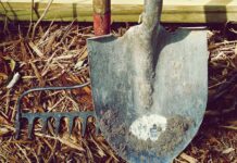 Jakie grabie do igieł? Jakie grabie do igieł?