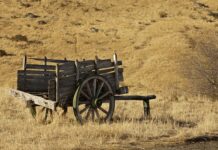 Czy warto stosować uszczelniacz do chłodnic? Czy warto stosować uszczelniacz do chłodnic?