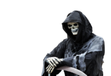 Która kosa Stihl jest najlepsza? Która kosa Stihl jest najlepsza?