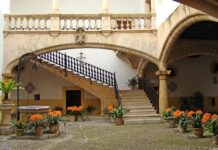 Jak zrobić donice z wiaderka? Jak zrobić donice z wiaderka?