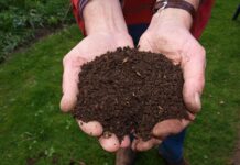 Jak długo robi się kompost z trawy?