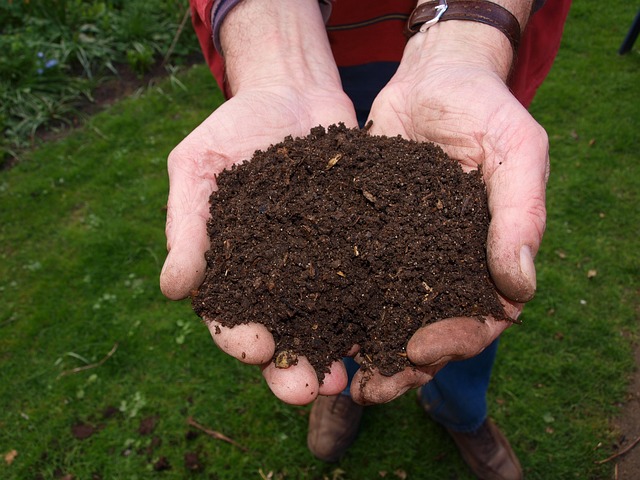 Jak długo robi się kompost z trawy?