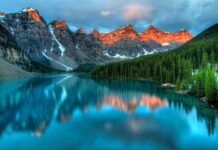 Jak usunąć kamień z gresu? Jak usunąć kamień z gresu?