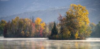 Czy gres trzeba impregnować?