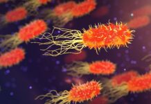 Jak sprawdzić czy w wodzie jest bakteria coli? Jak sprawdzić czy w wodzie jest bakteria coli?