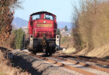 Jaka kosa spalinowa do chaszczy? Jaka kosa spalinowa do chaszczy?