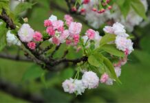 Jaka jest żywotność studni głębinowej?