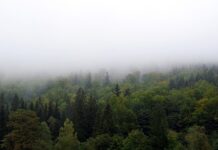 Jak zasłonić wnękę w ścianie?