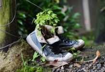 Jak odrodzić osadnika?