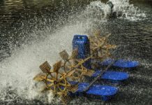 Co najpierw aerator czy wertykulator?